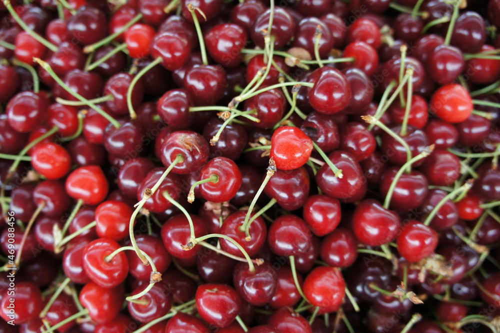 Cherry Close u p Cherry Close u p