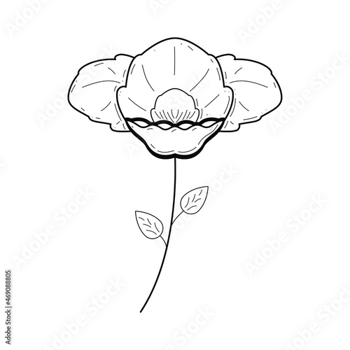 Abstract Hand Drawn Flower Plant Botanic Floral Nature Bloom Doodle Concept Vector Design Outline Style On White Background Isolated