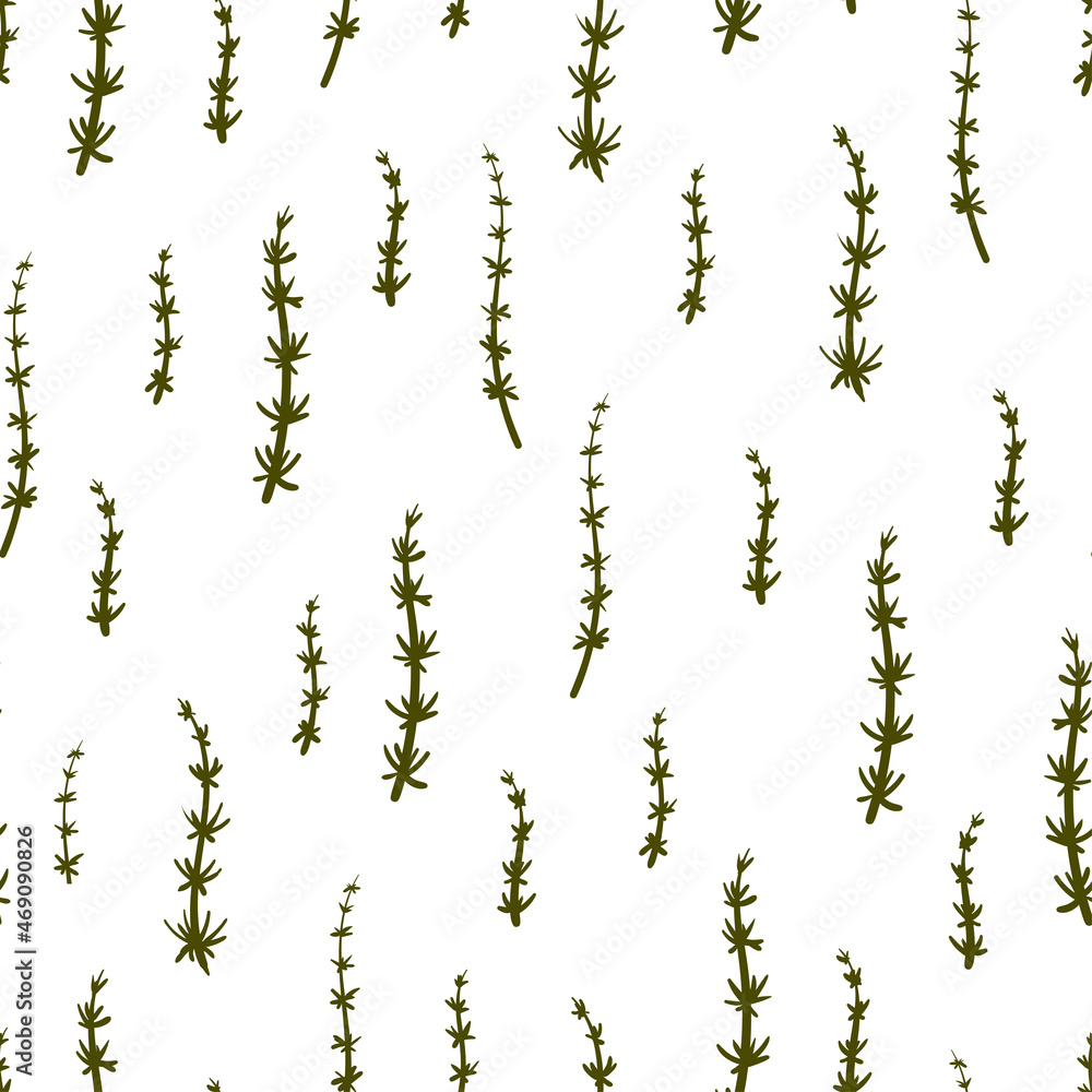 Horsetail medicinal plant seamless vector botanical pattern. Equisetum plant and escape hand drawn texture. Field floral background.