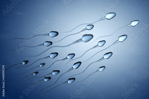 Illustration of sperm cells photo