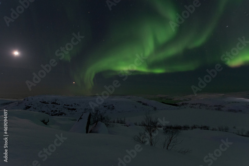 In winter, the moon and the aurora borealis are in the sky.