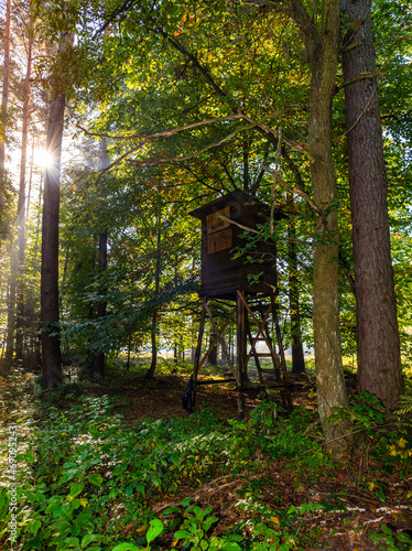 Wooden hunting platform deep in the forest. Świętokrzyskie, Poland. © JackUli