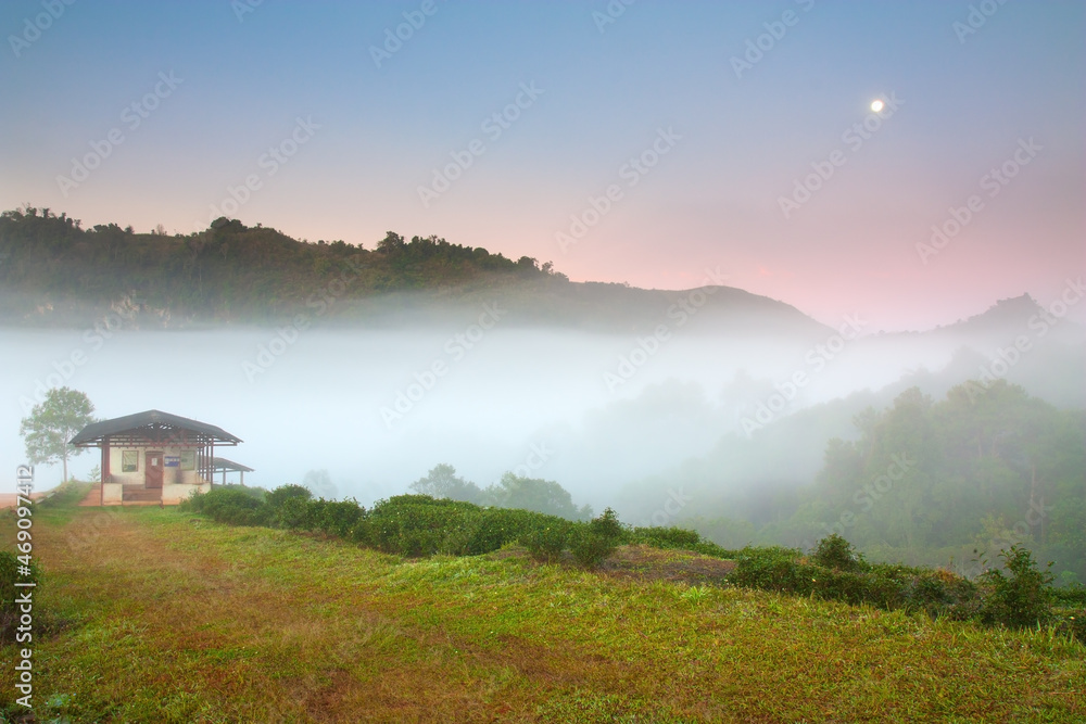 winter natural sea of mist or fog on top of green mountain morning landscape and sunrise with hut or cottage on blue sky and full moon at tea farm 2000 in Doi Ang Khang on cold for travel background