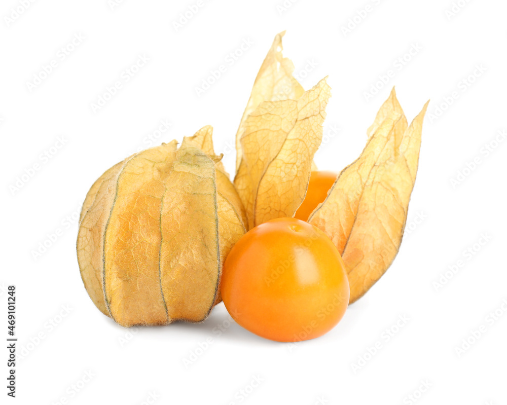 Ripe physalis fruits with dry husk on white background Ripe physalis fruits with dry husk on white background