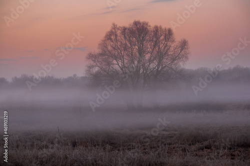 morning mist on the lake © Александр Арендарь