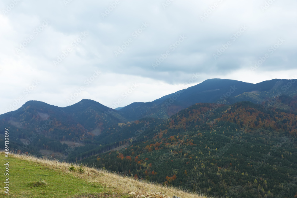 Picturesque view of beautiful mountains with conifer forest Picturesque view of beautiful mountains with conifer forest