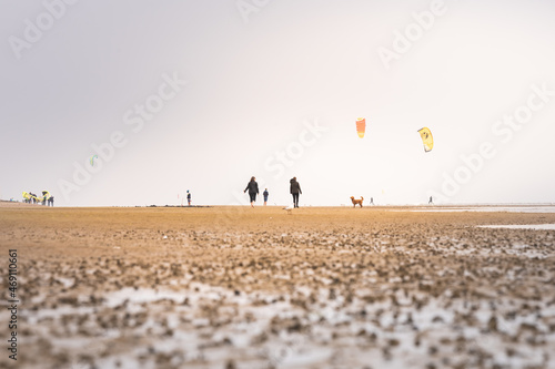 Walkers with dogs and kites in hazy weather on the beach of F  hr