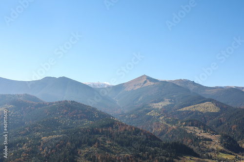 Picturesque view of mountain landscape with beautiful forest on sunny day © New Africa