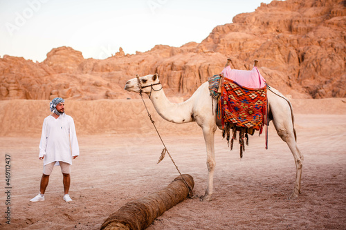 Male tourist stands near a camel in the desert of Egypt