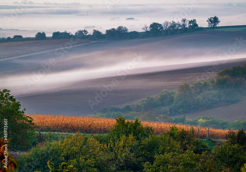 Podzim, autumn, trees, forest, field