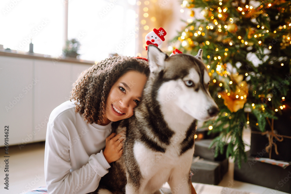 Obraz premium Young woman with a dog Husky on the background of the Christmas tree. Winter holidays. New year.