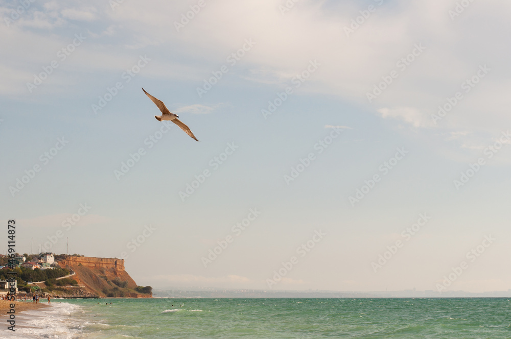 a seagull flies over the seashore with a beach and a mountain in the distance