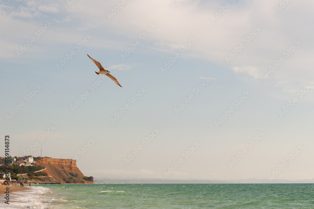 Fototapeta premium a seagull flies over the seashore with a beach and a mountain in the distance
