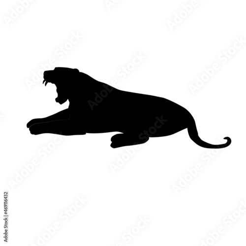 black silhouette of bengal tiger (Panthera tigris tigris) lyiing and roaring, vector illustratin isolated on white background, realistic outline