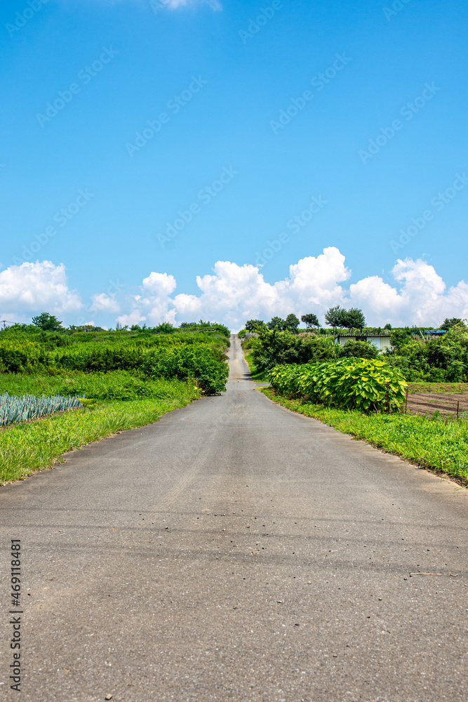 田舎の直線道路／群馬県富岡市
