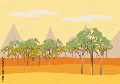 Paisaje de sabana de África en el atardecer.