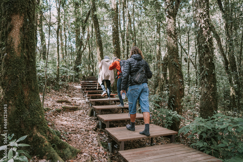 Three men travelers walking in jungle forest