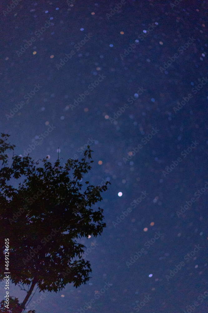 Fototapeta premium stars in the sky