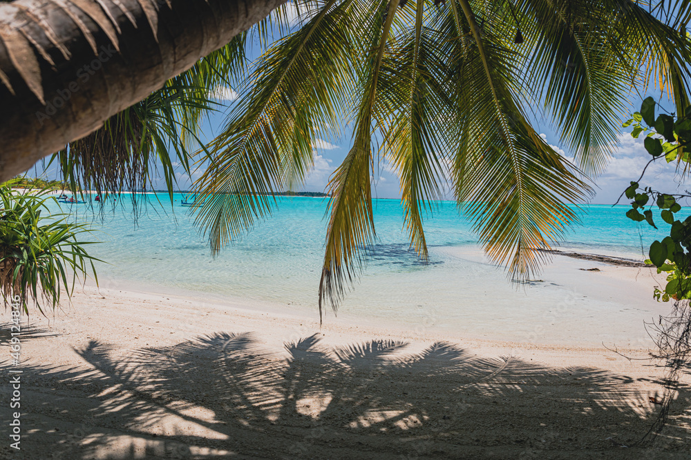 A paradise beach on an island with turquoise water and beautiful exotic palm - Maldives