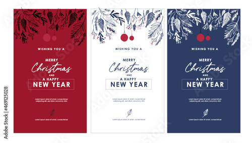 Christmas, Winter holiday graphic element set. Winter plants and berry with placeholder typography. Bundle elements of leaf, ornaments and text. Seasonal party invitation, greetings, corporate email 