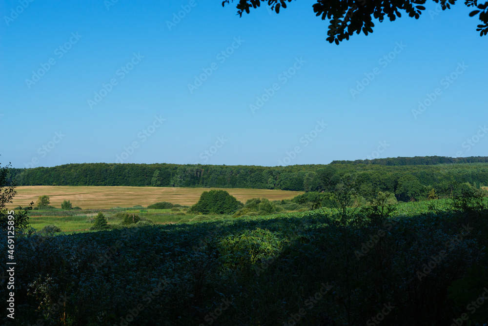 Fototapeta premium Rural landscape with fields and forest in the background