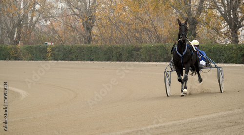 Foto Banner trotting horse race with sulky in the hippodrome