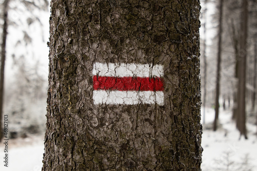 Marking a tourist trail in the mountains, a red tourist trail painted on a tree, a symbol painted with white and red paint