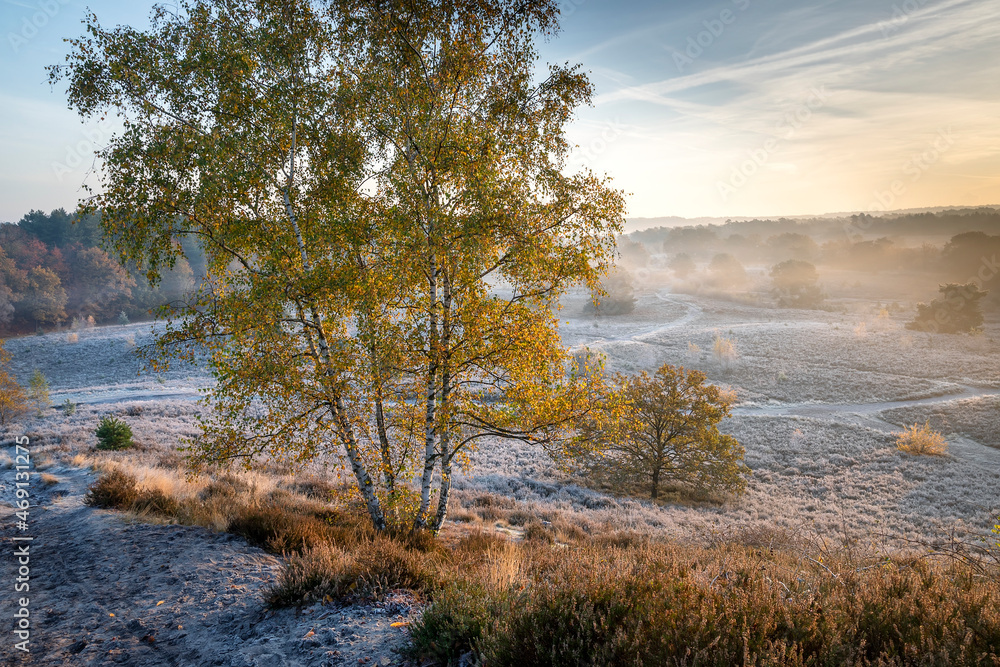 cold autumn morning with frost