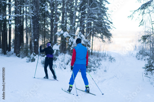 People ski in the winter in the forest.Cross country skilling.