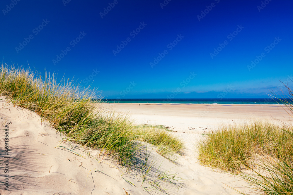 Fototapeta premium England, Northumberland, Bamburgh Castle on hill near beach