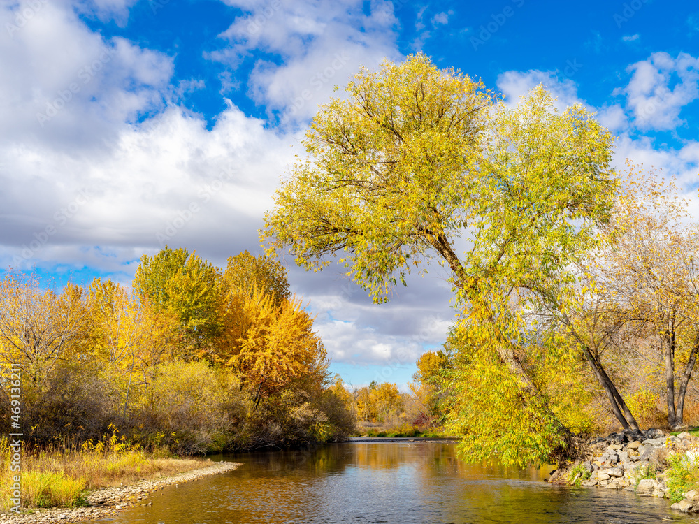 Warm colored fall trees over the Boise River in Eagle