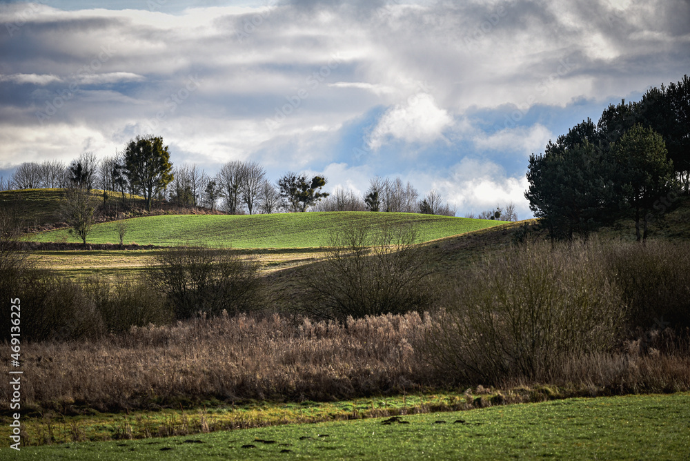 Obraz premium landscape with trees