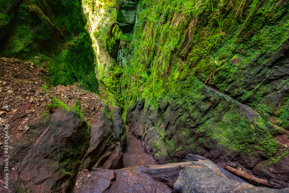 Devil’s Pulpit gorge, near Glasgow, Scotland Devil’s Pulpit gorge, near Glasgow, Scotland