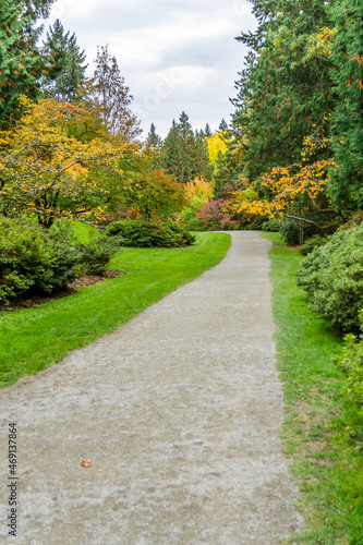 Washington Park Arboretum Autumn Path 12