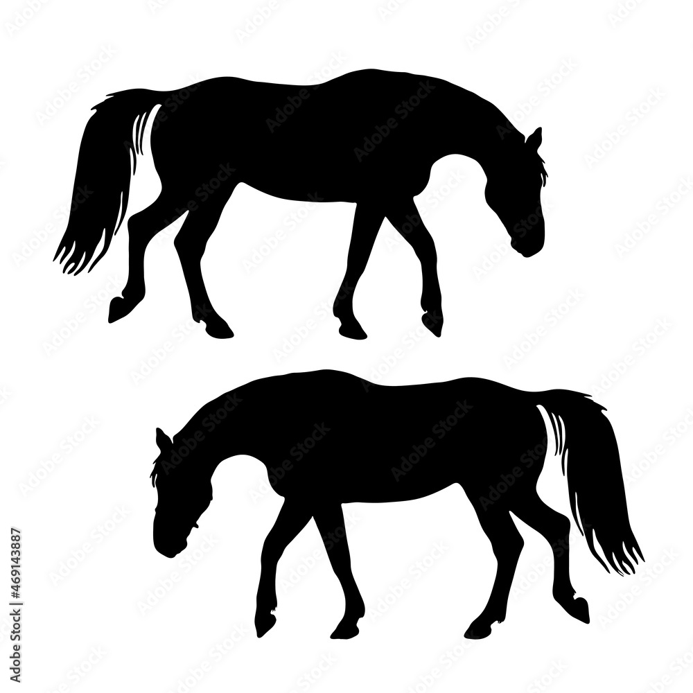 Obraz premium a set of silhouettes of horses, black images isolated on a white background.