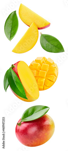 Mango and leaves  isolated on white background. Full depth of field. Flying Mango With clipping path