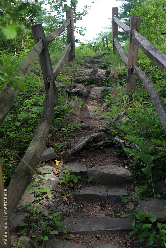 primitive staircase made of rocks with interlocking wood fencing as railings against a lush green foliage primitive staircase made of rocks with interlocking wood fencing as railings against a lush green foliage