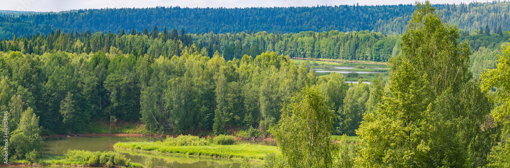 Summer panoramic landscape view from a hill, trees on a wide green meadow, a winding river and a forest in the distance.