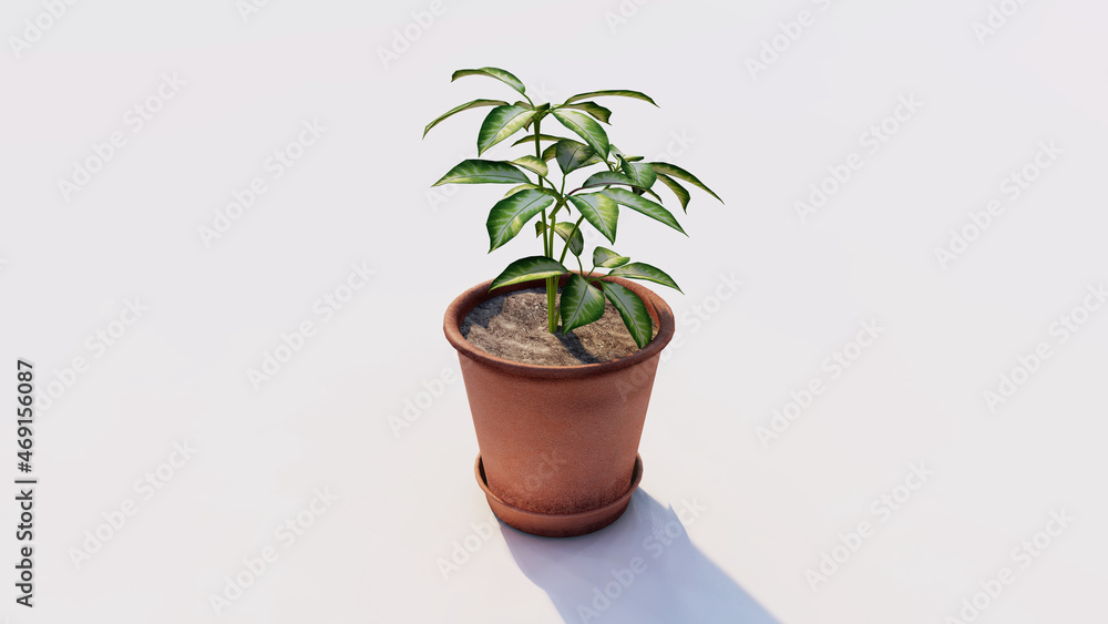 Fototapeta premium Plant isolated on white background 3d rendering.
