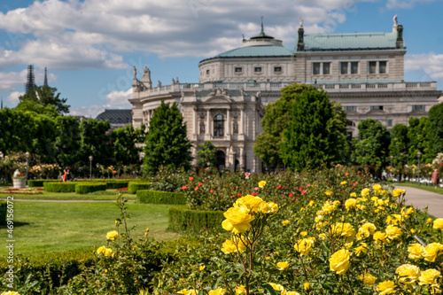 Rosengarten in Wien mit dem Burgtheater als Hintergrund