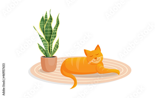 Ginger cute cat lies on a cozy carpet. Vector cartoon illustration.