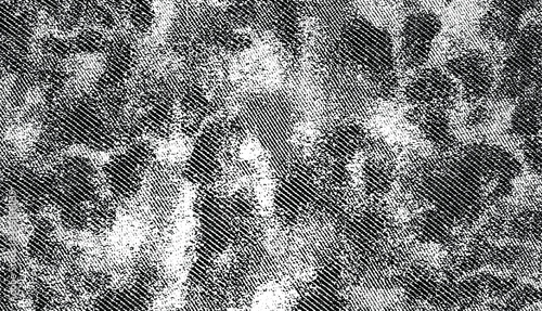 Rough black and white texture vector. Distressed overlay texture. Grunge background. Abstract textured effect. Vector Illustration. Black isolated on white background. EPS10