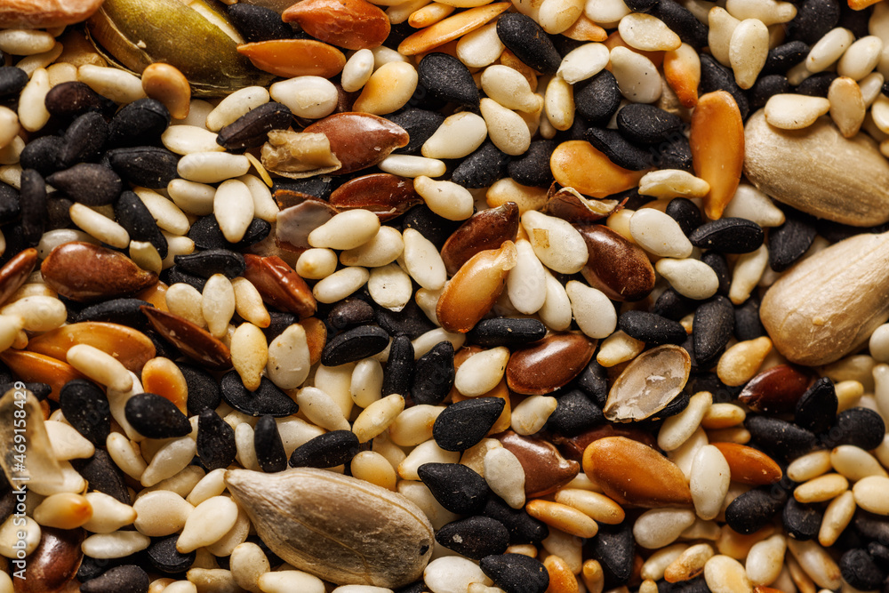 Close up shot of mixed seeds Close up shot of mixed seeds