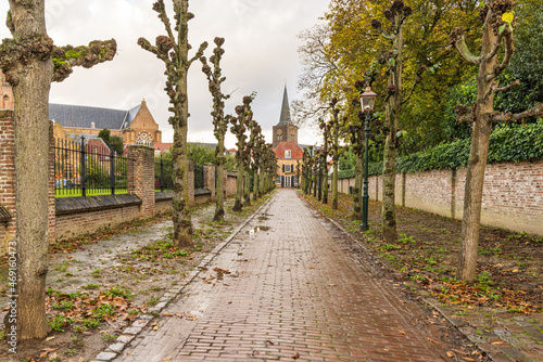 Scenics with St. Johannes de Doper church in Wijk bij Duurstede  Utrecht in The Netherlands
