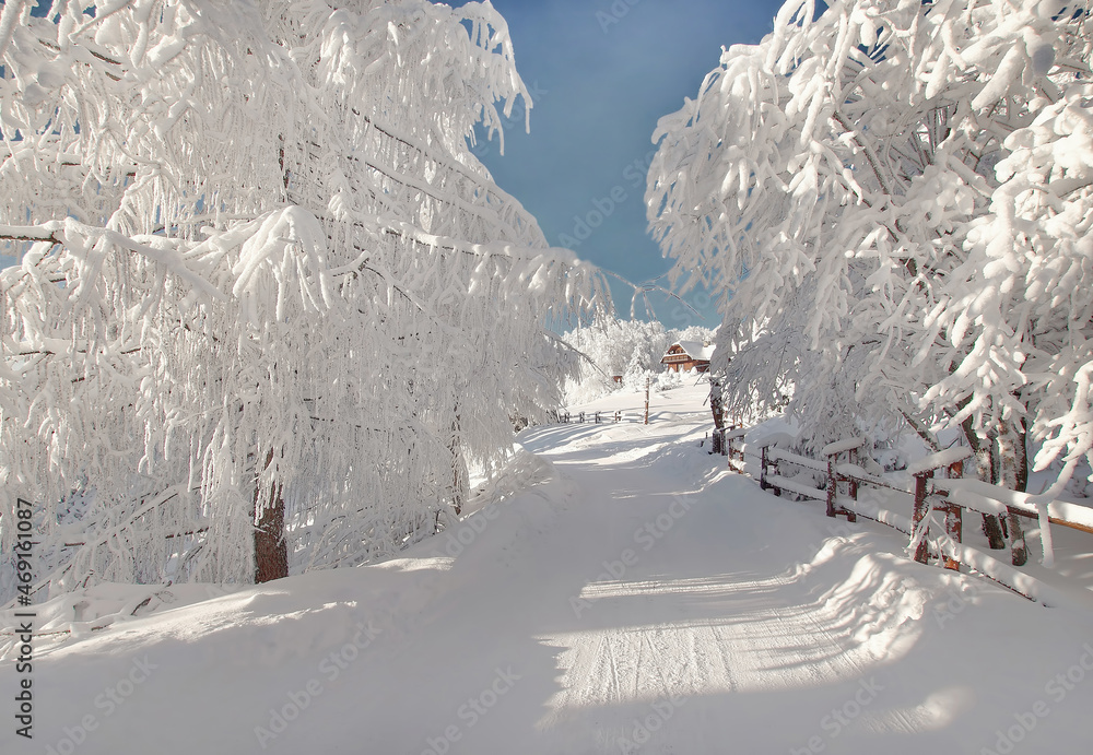 Zimowy krajobraz - obrazy, fototapety, plakaty 