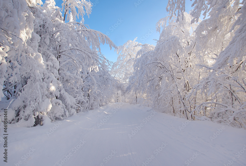 Winter