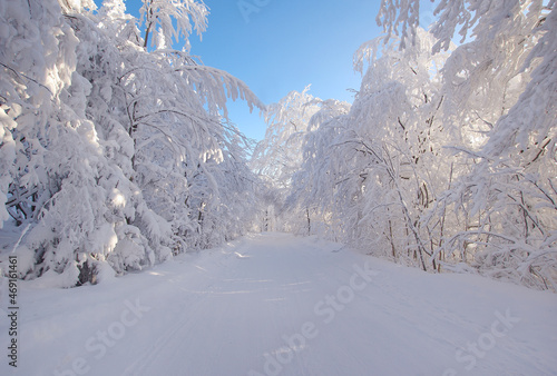 Obraz na płótnie Winter w salonie