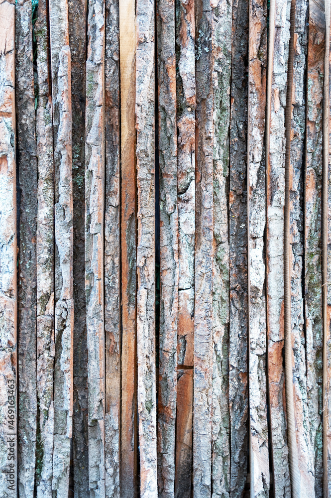 Fototapeta premium Background texture of natural wood.