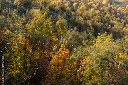 paesaggio autunnale