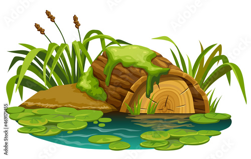 Stump in moss in marsh. Cartoon log in swamp jungle. Broken tree oak, salvinia, water lily. Isolated vector element on white background.